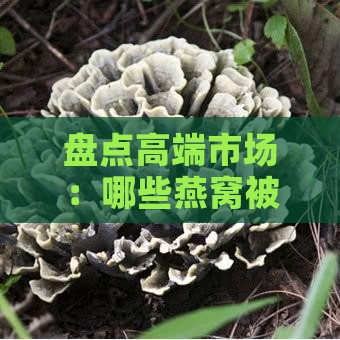 盘点高端市场：哪些燕窝被誉为贵族之选