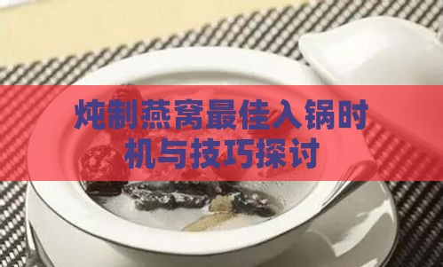 炖制燕窝更佳入锅时机与技巧探讨