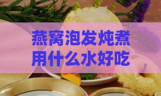 燕窝泡发炖煮用什么水好吃：详解更佳水质选择与营养炖煮教程