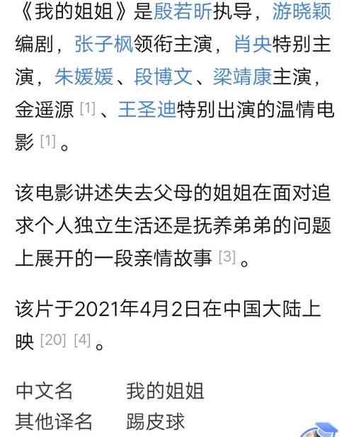 探究莎奶奶与燕窝姐之间的恩怨纠葛：全面解析两人的矛盾始末与背景故事