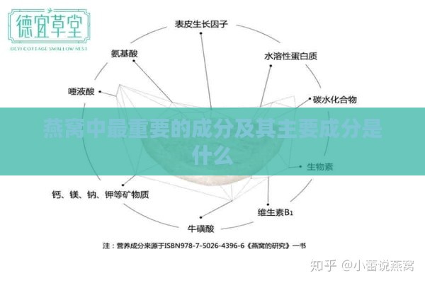 燕窝中最重要的成分及其主要成分是什么