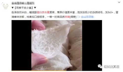 燕窝蛋白被是什么面料好，及其对皮肤的功效与蛋白质含量分析