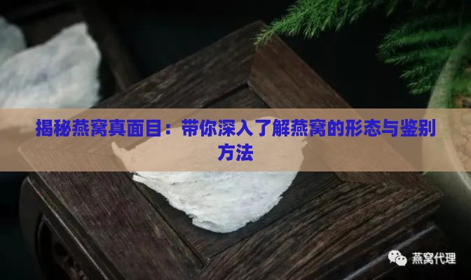 揭秘燕窝真面目：带你深入了解燕窝的形态与鉴别方法