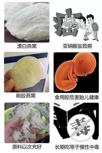 一斤即食燕窝什么好