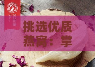 挑选优质燕窝：掌握燕窝品质的五大关键要素