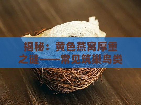 揭秘：黄色燕窝厚重之谜——常见筑巢鸟类及其特点分析