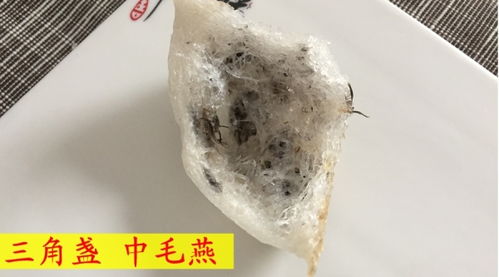 黄色的燕窝是什么品种的燕子筑造的，米黄色燕窝是否真实存在？