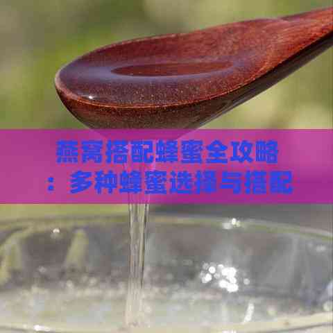 燕窝搭配蜂蜜全攻略：多种蜂蜜选择与搭配效果解析