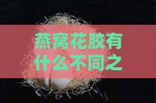 燕窝花胶有什么不同之处吗：成分、功效与食用方法的对比分析