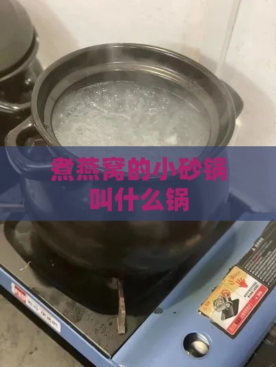 煮燕窝的小砂锅叫什么锅