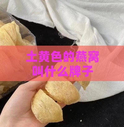 土黄色的燕窝叫什么牌子