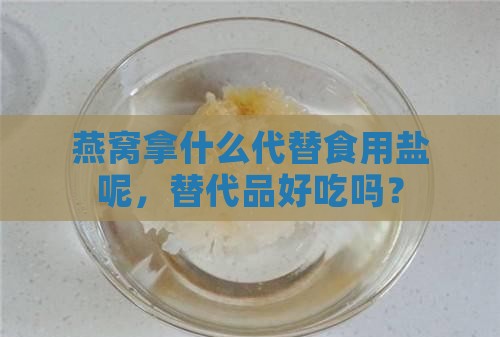 燕窝拿什么代替食用盐呢，替代品好吃吗？