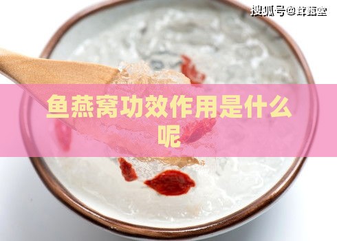 鱼燕窝功效作用是什么呢