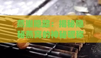 燕巢隐踪：揭秘隐秘燕窝的神秘昵称