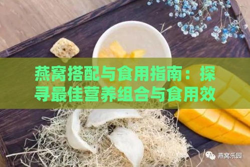 燕窝搭配与食用指南：探寻更佳营养组合与食用效果