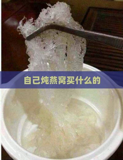 自己炖燕窝买什么的