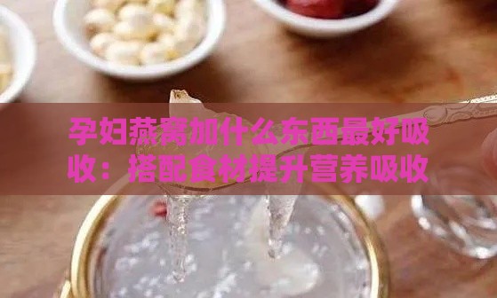 孕妇燕窝加什么东西更好吸收：搭配食材提升营养吸收与口感体验