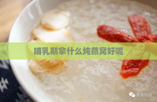 哺乳期拿什么炖燕窝好呢