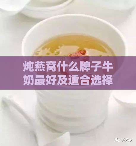 炖燕窝什么牌子牛奶更好及适合选择哪种牛奶炖制