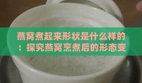 燕窝煮起来形状是什么样的：探究燕窝烹煮后的形态变化