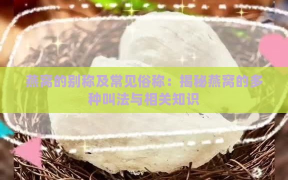 燕窝的别称及常见俗称：揭秘燕窝的多种叫法与相关知识