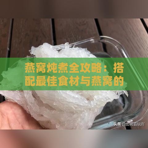 燕窝炖煮全攻略：搭配更佳食材与燕窝的营养炖法解析