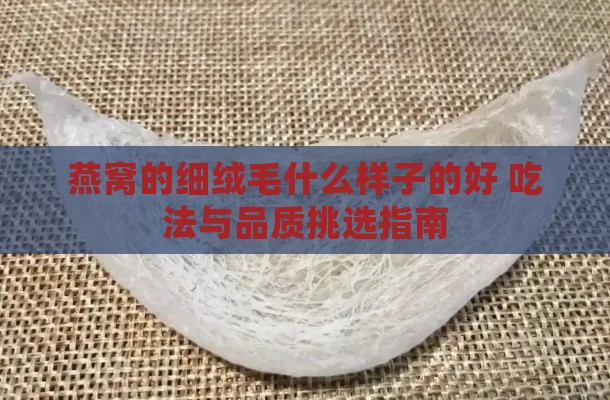 燕窝的细绒毛什么样子的好 吃法与品质挑选指南