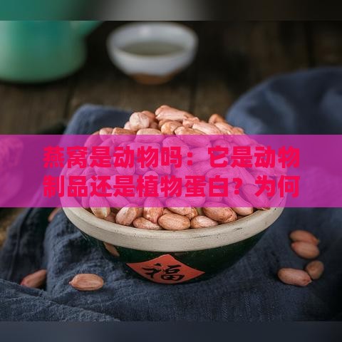 燕窝是动物吗：它是动物制品还是植物蛋白？为何归类有争议？