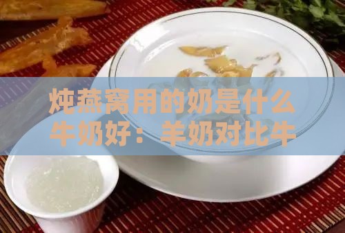 炖燕窝用的奶是什么牛奶好：羊奶对比牛奶，炖燕窝用什么奶最合适好喝