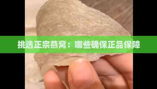 挑选正宗燕窝：哪些确保正品保障