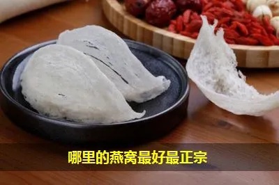 正宗燕窝买什么的好