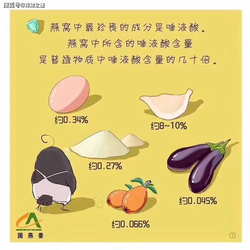 揭秘婆婆所说的燕窝之谜：究竟有何特殊含义？