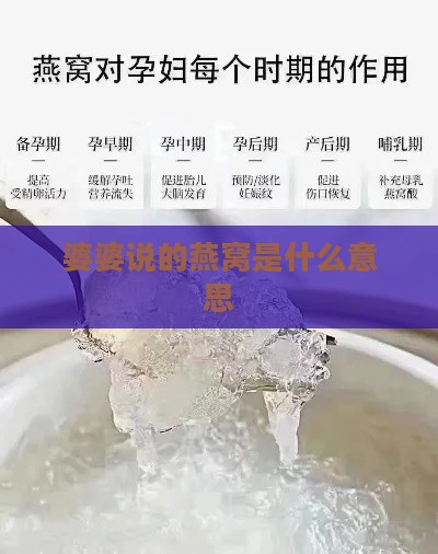 婆婆说的燕窝是什么意思