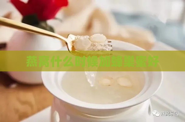 燕窝什么时候加蜂巢蜜好