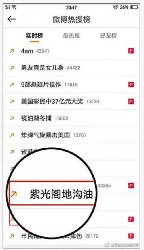 '解码李燕窝：个人背后的深层含义与价值'