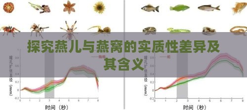 探究燕儿与燕窝的实质性差异及其含义