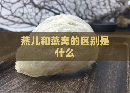 燕儿和燕窝的区别是什么