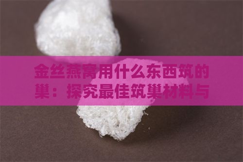 金丝燕窝用什么东西筑的巢：探究更佳筑巢材料与形成过程