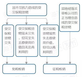 探索燕窝加工：详述完整英语流程指南