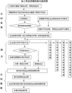 探索燕窝加工：详述完整英语流程指南