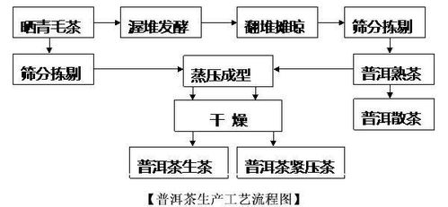 揭秘燕窝完整加工流程：从采集到成品的全步骤解析