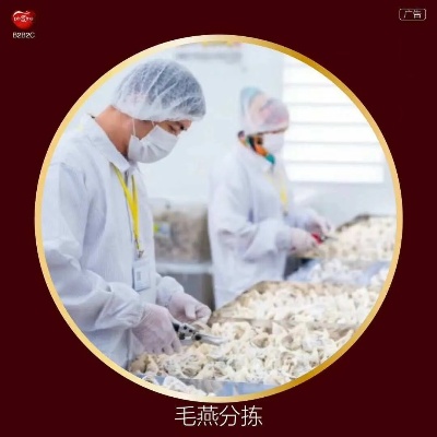 传统与现代融合：燕窝精细加工技艺探究