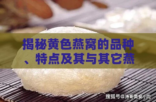 揭秘黄色燕窝的品种、特点及其与其它燕窝的区别