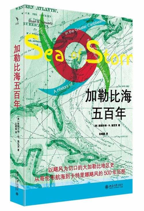 深入了解燕窝：起源、形成过程及其独特营养价值解析