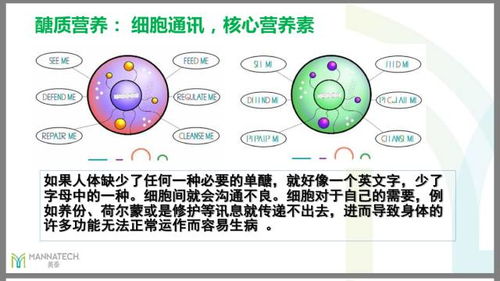 深入了解燕窝：起源、形成过程及其独特营养价值解析