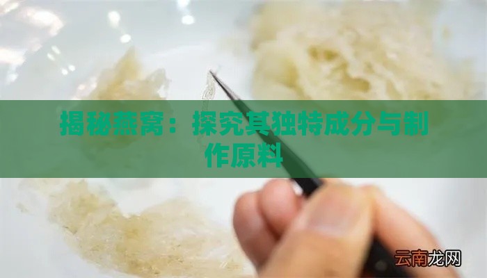 揭秘燕窝：探究其独特成分与制作原料