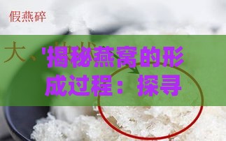 '揭秘燕窝的形成过程：探寻燕窝的起源与独特构造'