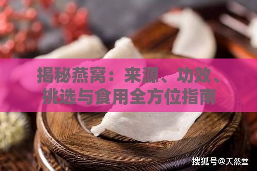 揭秘燕窝：来源、功效、挑选与食用全方位指南