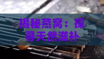 揭秘燕窝：探寻天然滋补珍品的秘密