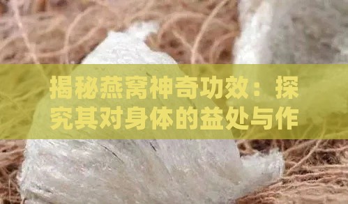 揭秘燕窝神奇功效：探究其对身体的益处与作用